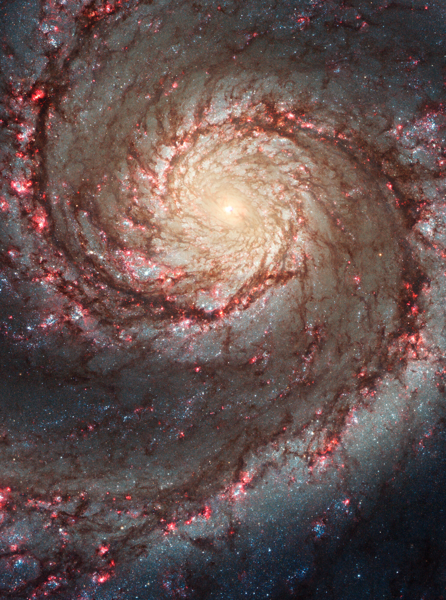 The Whirlpool Galaxy and its smaller companion galaxy interacting.